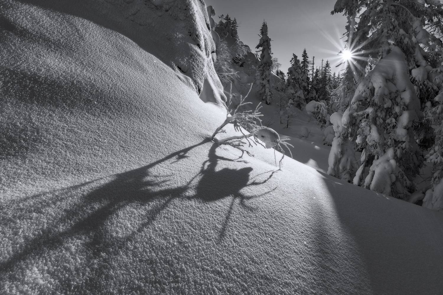 , Обухов Николай