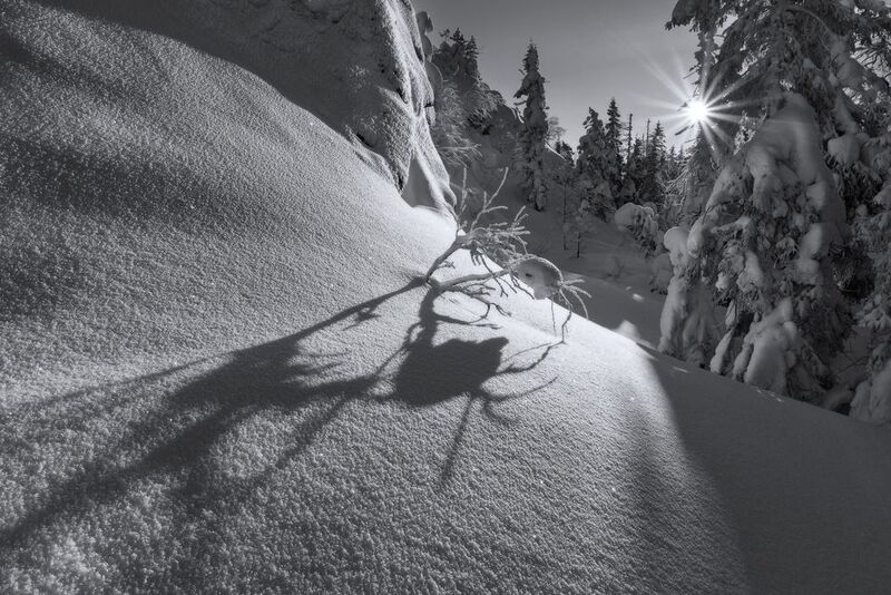 *** фото превью