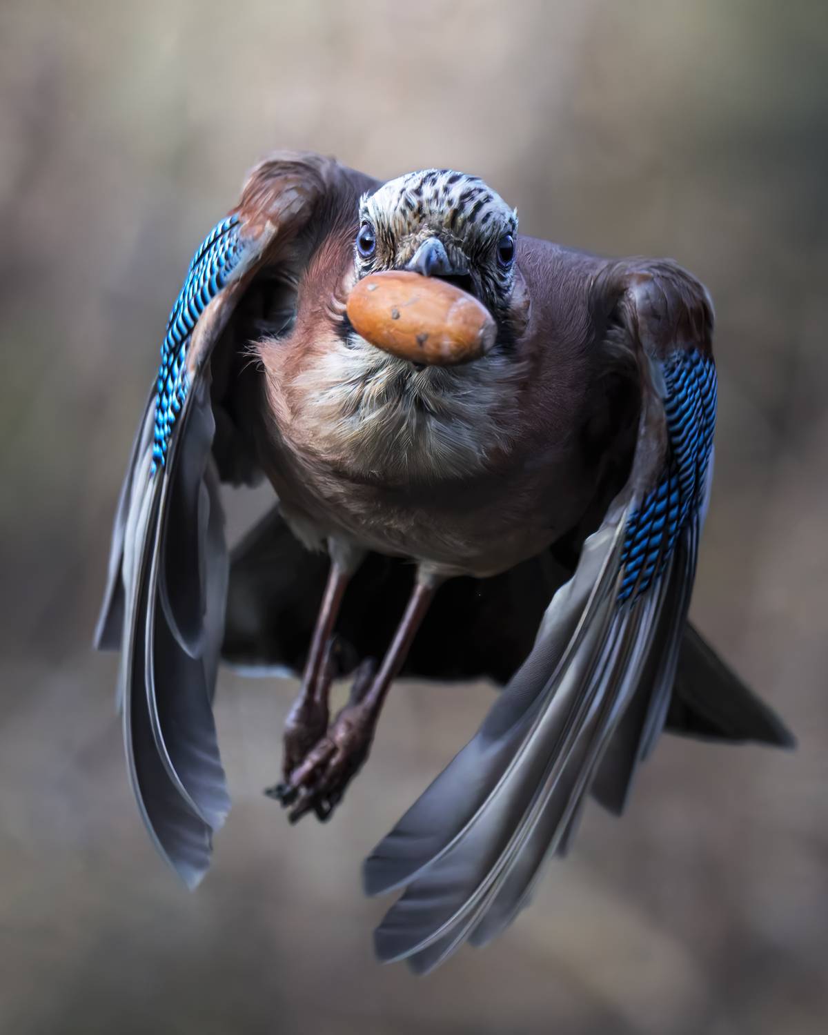 , Поляков Михаил