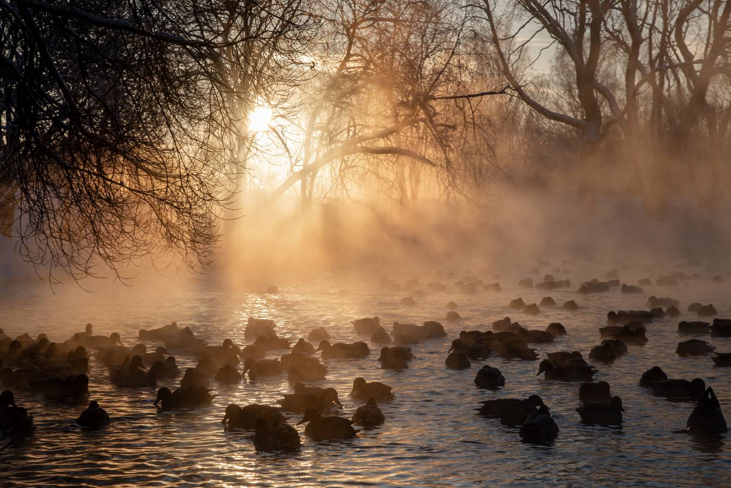 , Малыгин Андрей