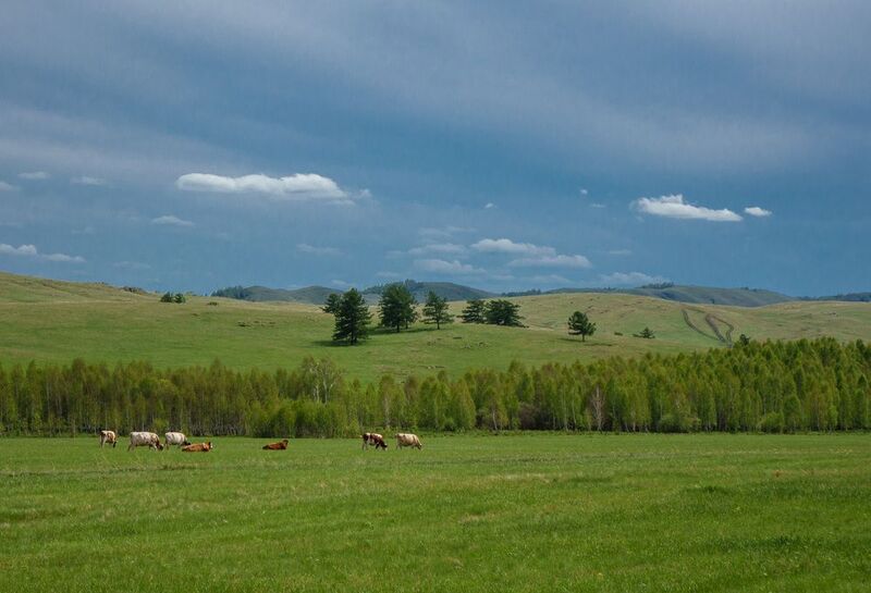 прогулка фото превью