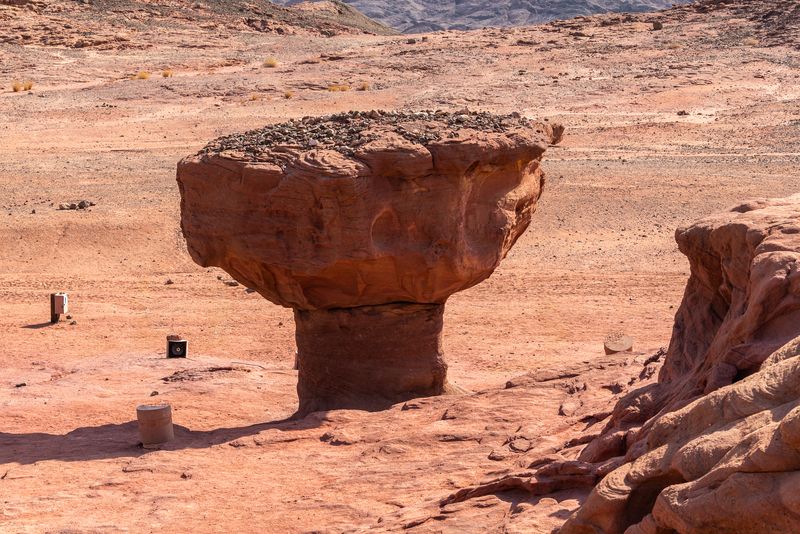 Тимна. Еще один гриб фото превью