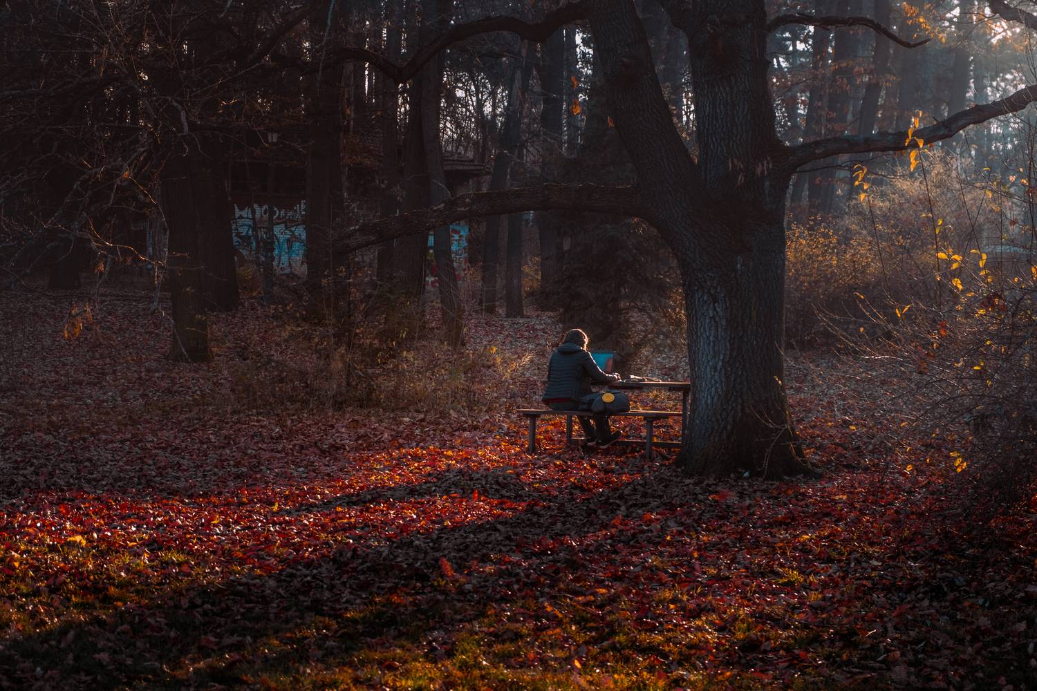 , Николов Андриян