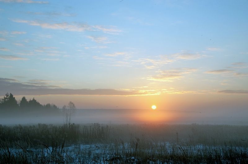 И снова декабрь укутан в туман фото превью