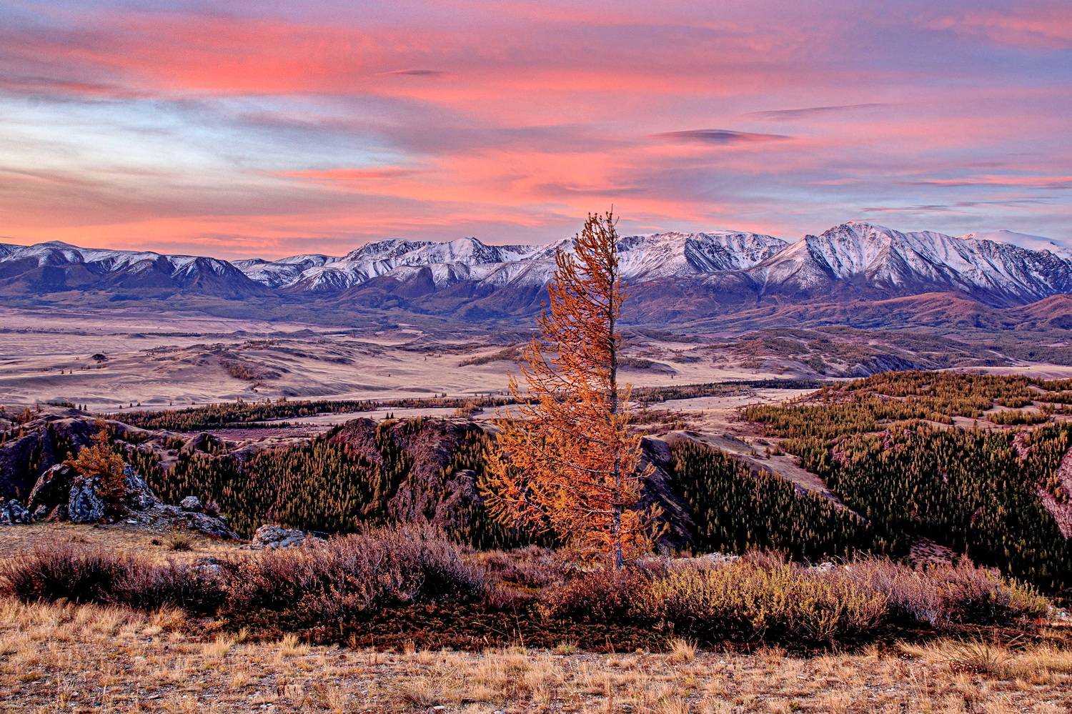 алтай, Добролюбова Тамара