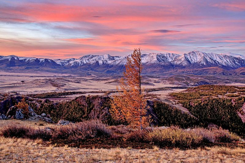 Курай на рассвете фото превью