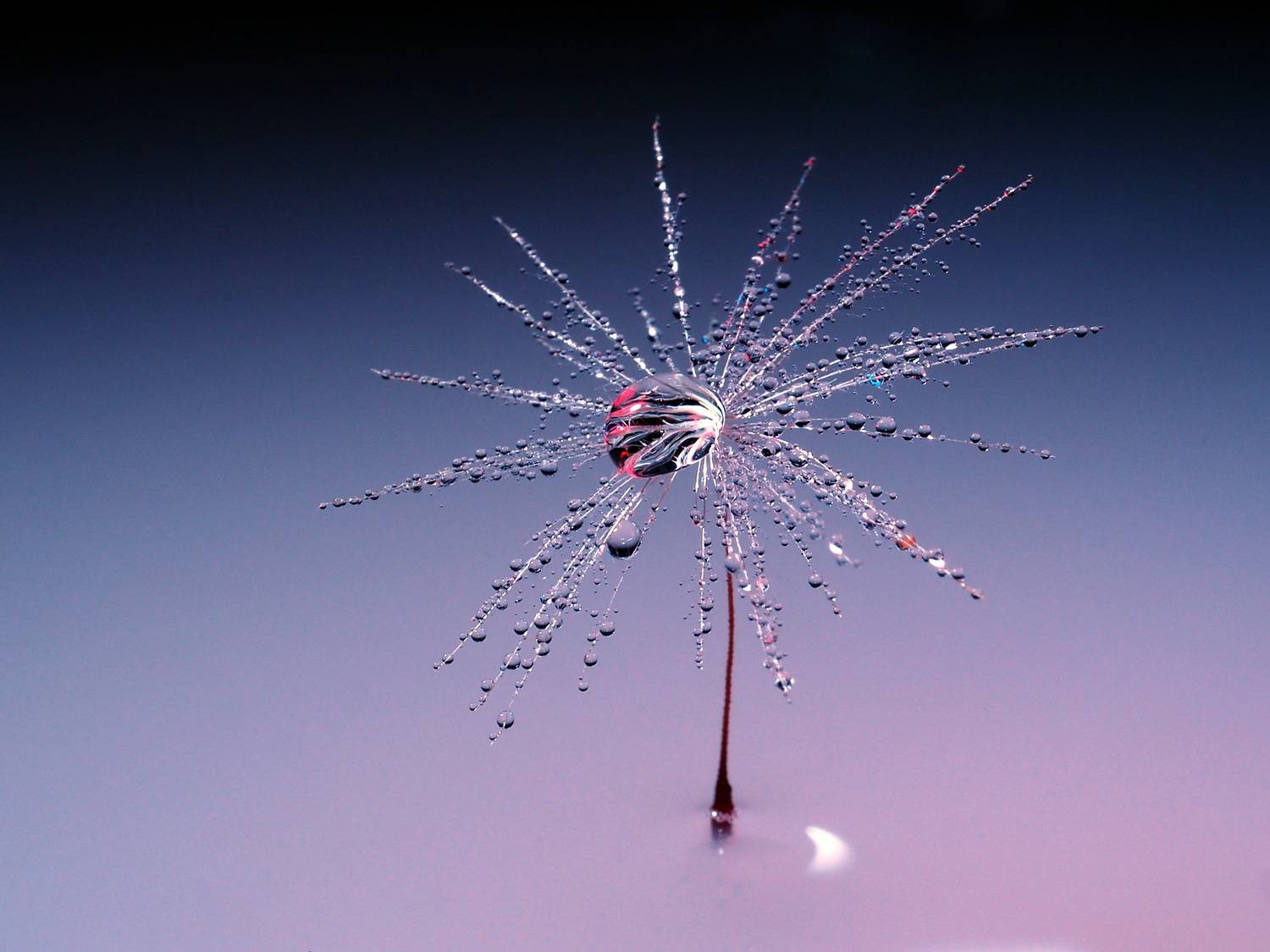 , Риганов Борис