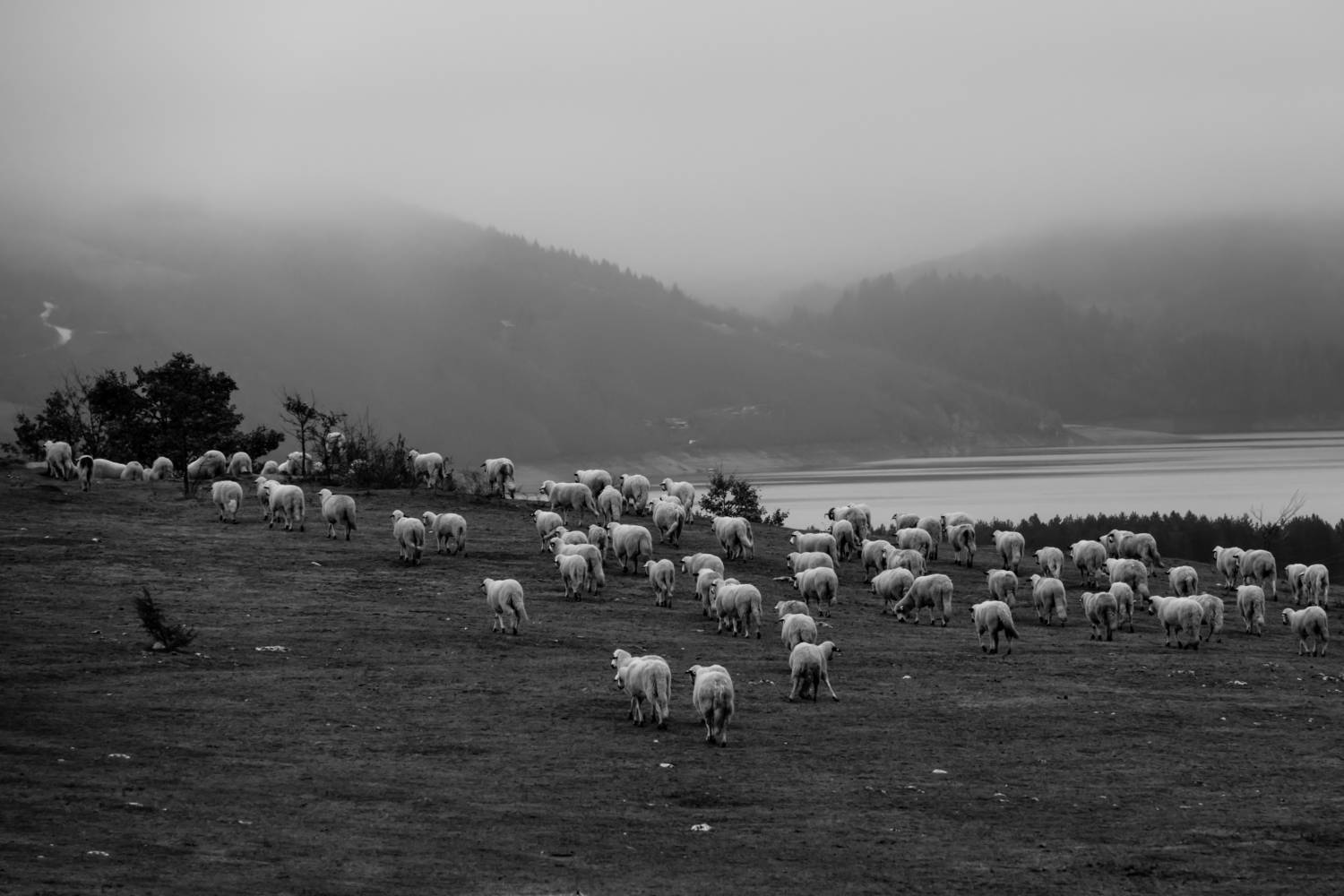 , Шилов Александр