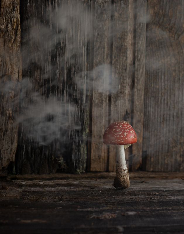 натюрморт, мухомор, дым Натюрморт Бабы Яги) фото превью