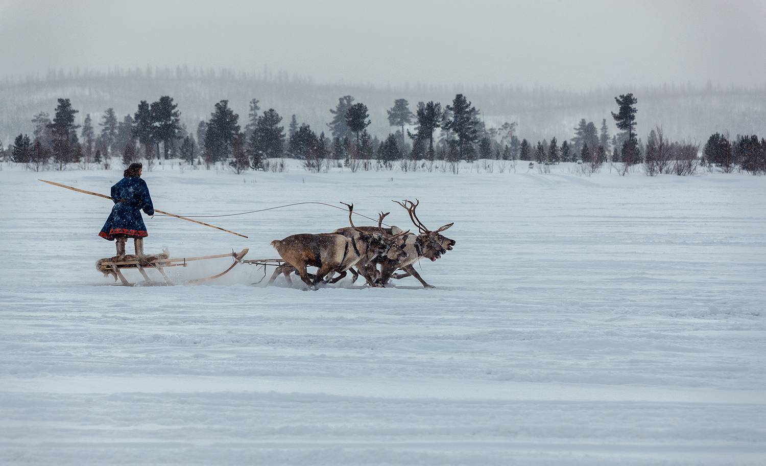 , Геннадий Литвинов