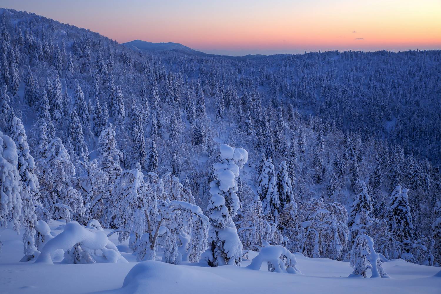 , Артем Удодов