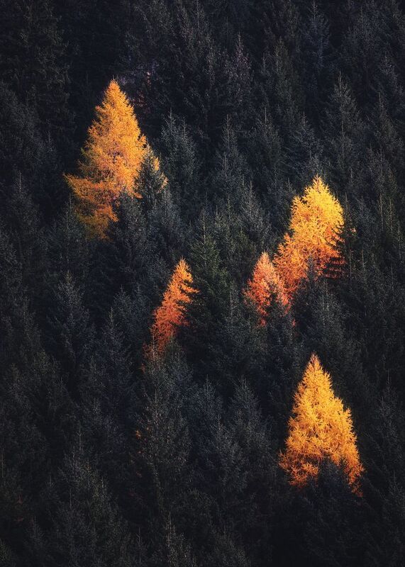 Relax фото превью