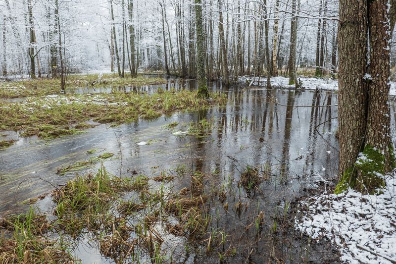 Странная погода фото превью