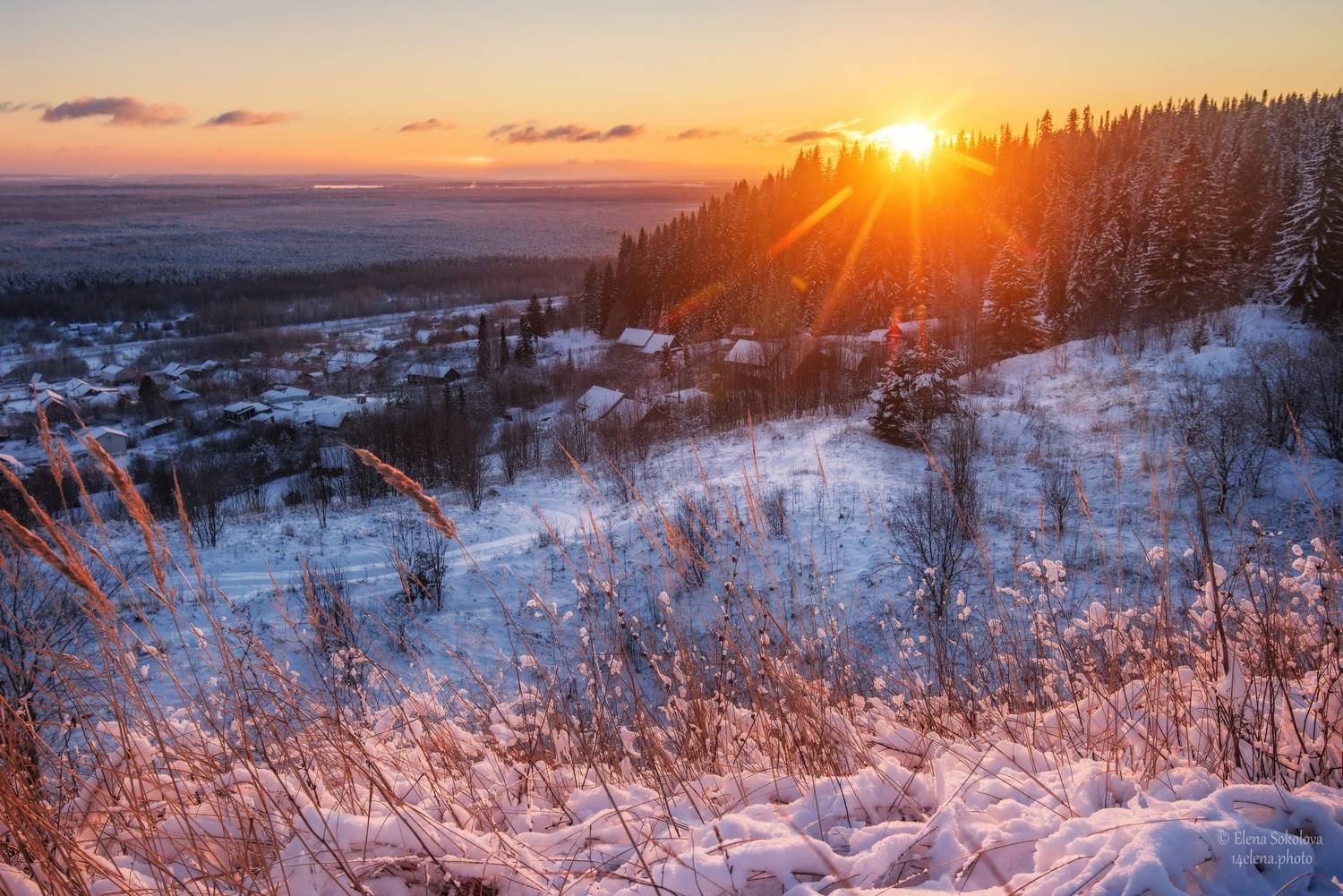 зима, закат, Елена Соколова