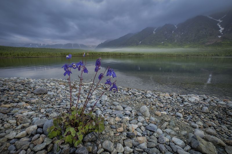 В одиночестве на берегу Байкала фото превью