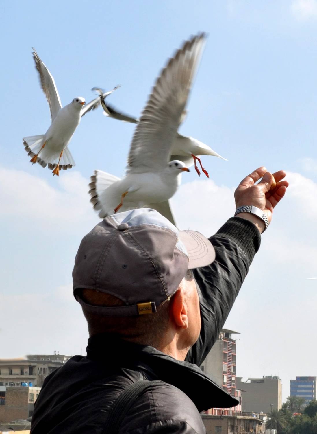 , غيث الساعدي