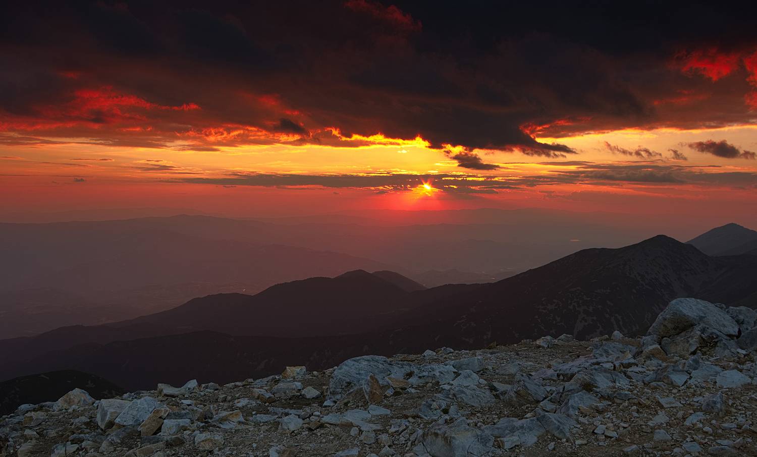 , Wojciech Tarnowski