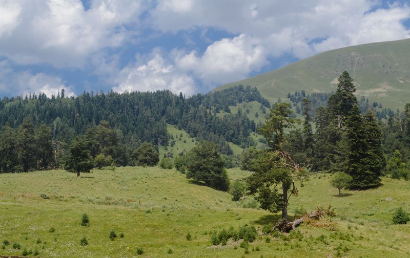 Кавказ. фото превью