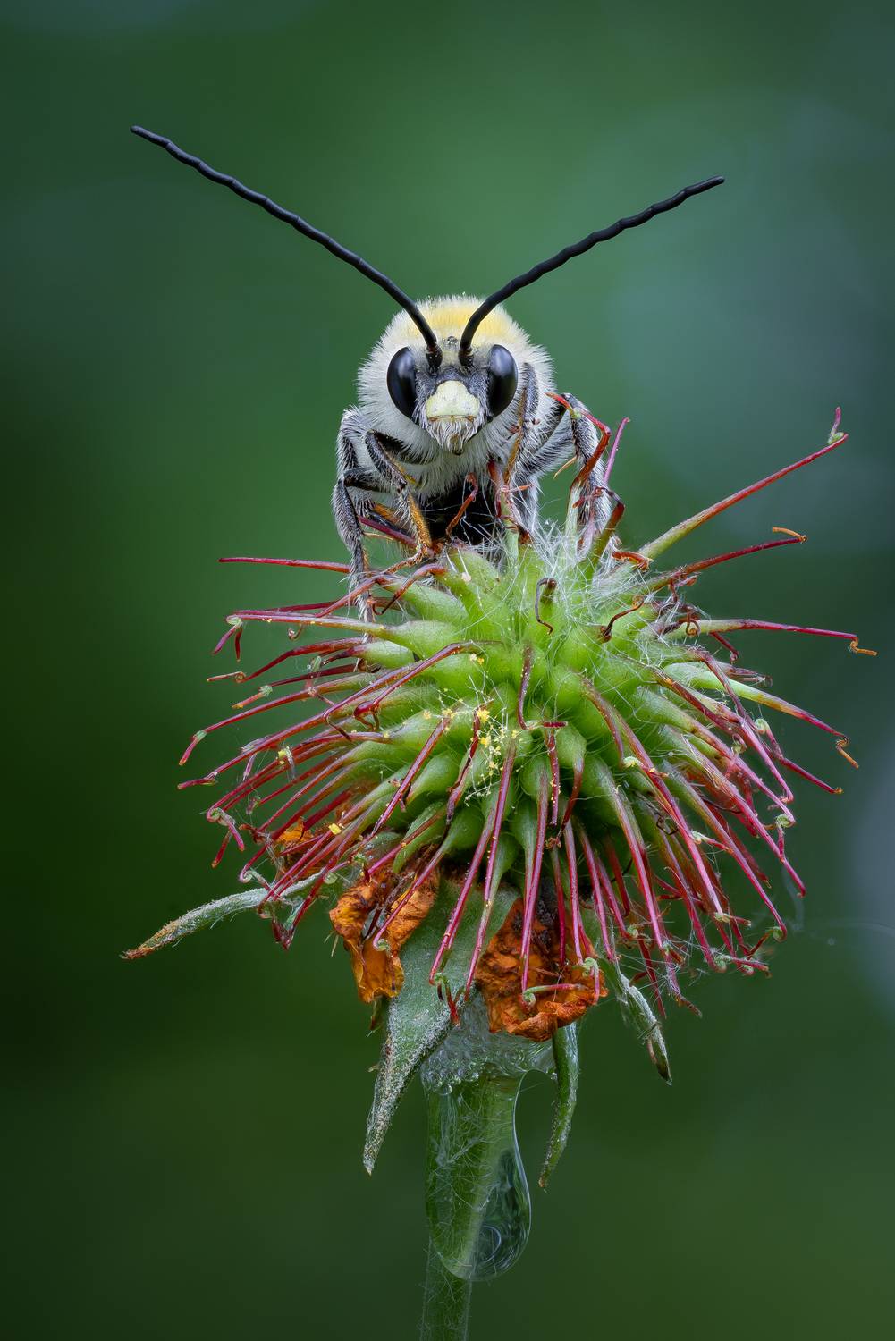 , Кузнецов Дмитрий