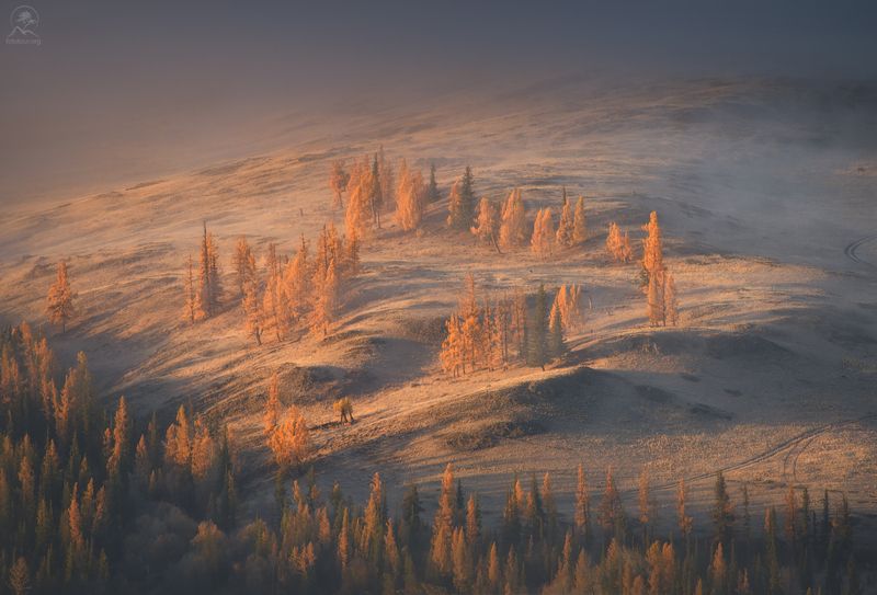 алтай, фототур по алтаю, осень, курайская степь, горный алтай, республика алтай, курай Туманная картина фото превью