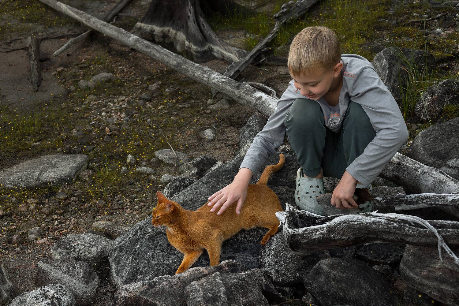 , Елена Михайлова