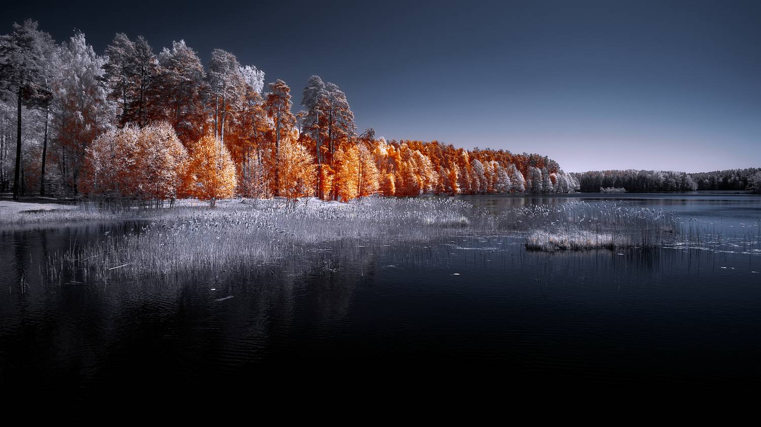 infrared, ик-фото, инфракрасное фото, инфракрасная фотография, пейзаж, весна,  Sixten (Сергей)