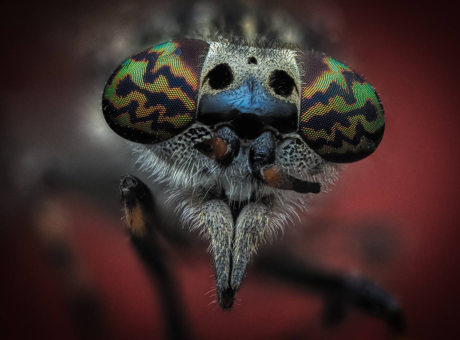 , Олег Савицкий