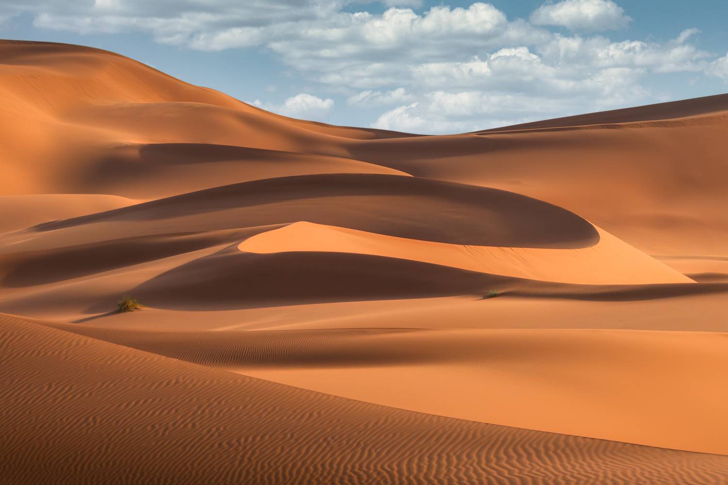 maroc, marocco, sahara desert, desert, sand, orange, light, марокко, пустыня, сахара, пейзаж, дюны, песок , Kaznov Stanislav