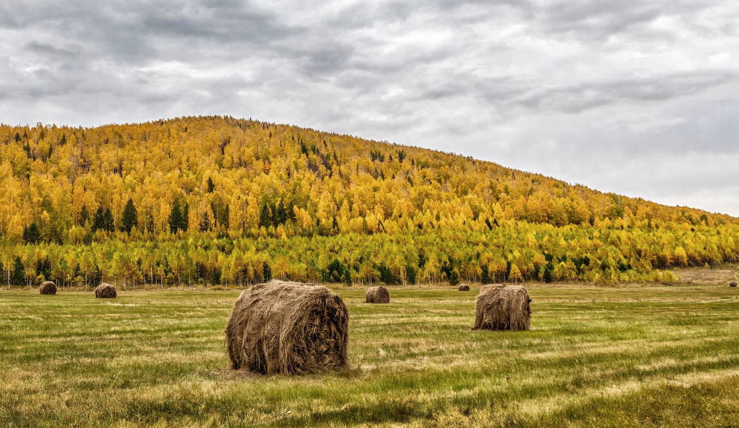 , Ушаков Валерий
