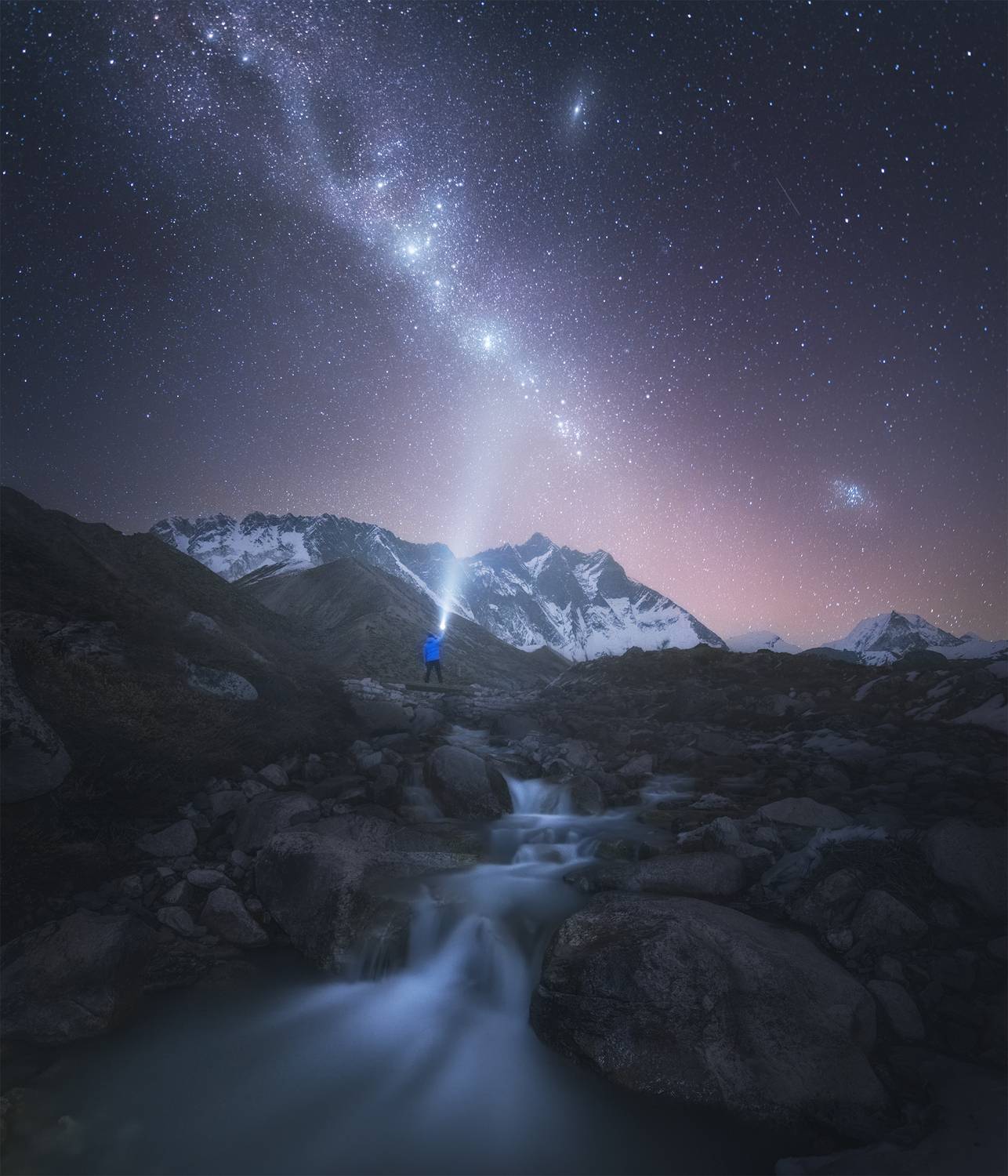 , Политова Анна