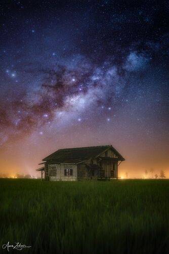 The Woody House