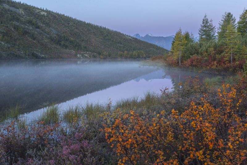 Озеро Джека Лондона,озеро Танцующих хариусов,пояс Венеры,туман Озеро танцующих хариусов. фото превью