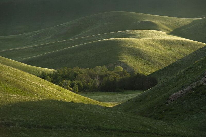 оренбуржье, долгие горы, урал, цветущая степь, степной пейзаж, оренбургская область, карамурунтау Дальние сюжеты Долгих гор фото превью