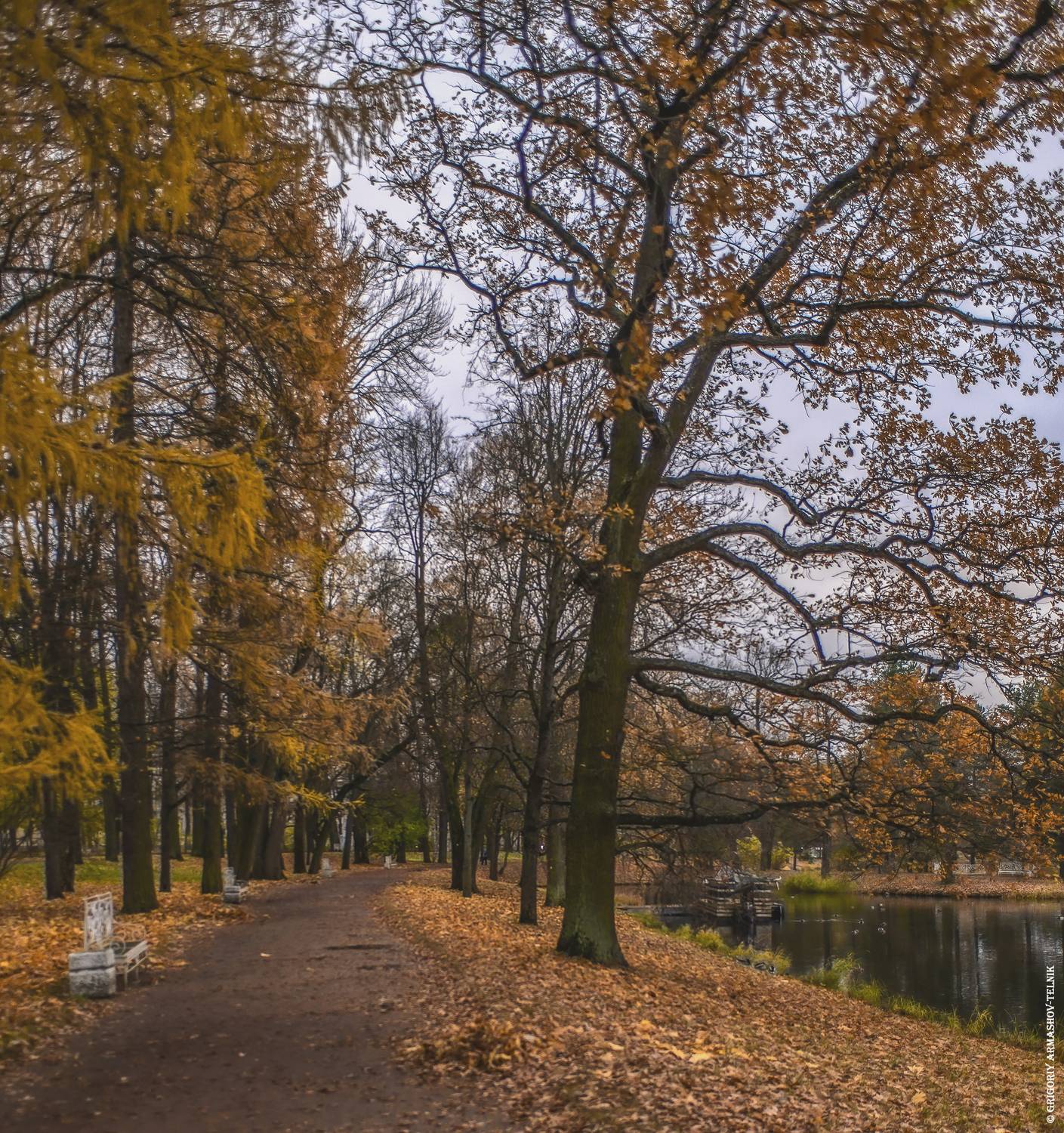 Пушкин, осень, парк, пейзаж, золотая_осень, прогулка, Армашов-Тельник Григорий