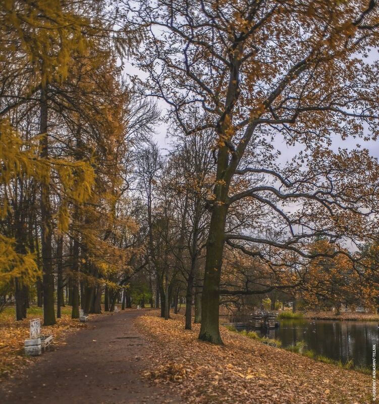 Осень в Екатерининском парке  фото превью