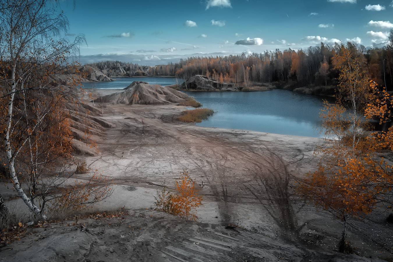 , Анатолий Зверев