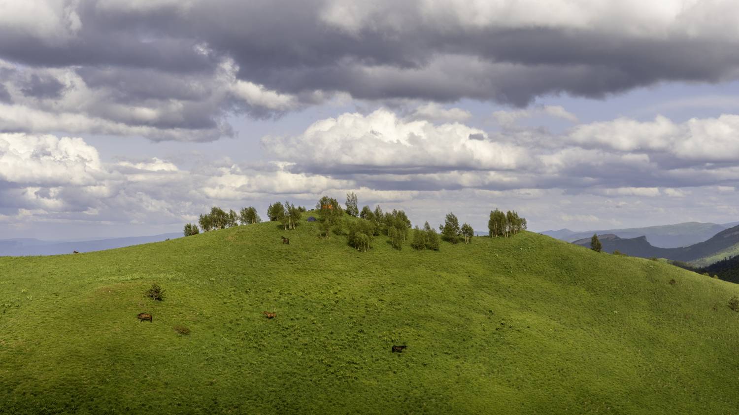 Россия, республика Адыгея, Большой Тхач, Гаврилов Юрий