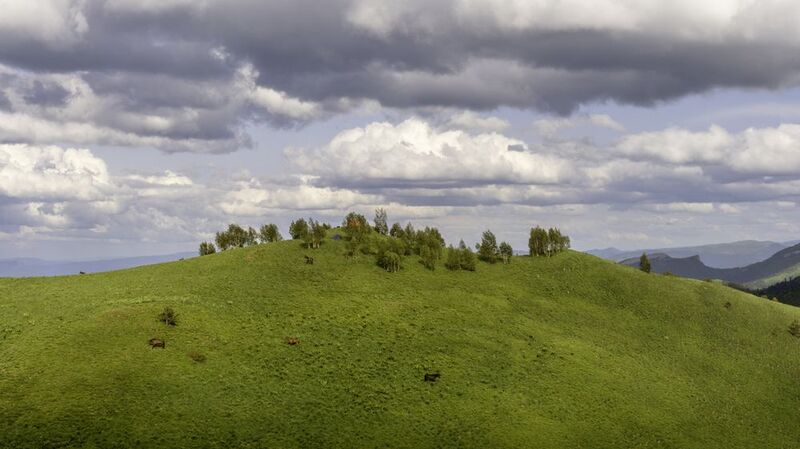 Россия, республика Адыгея, Большой Тхач Летом на Кавказе фото превью