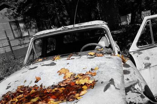 Осень прошлого