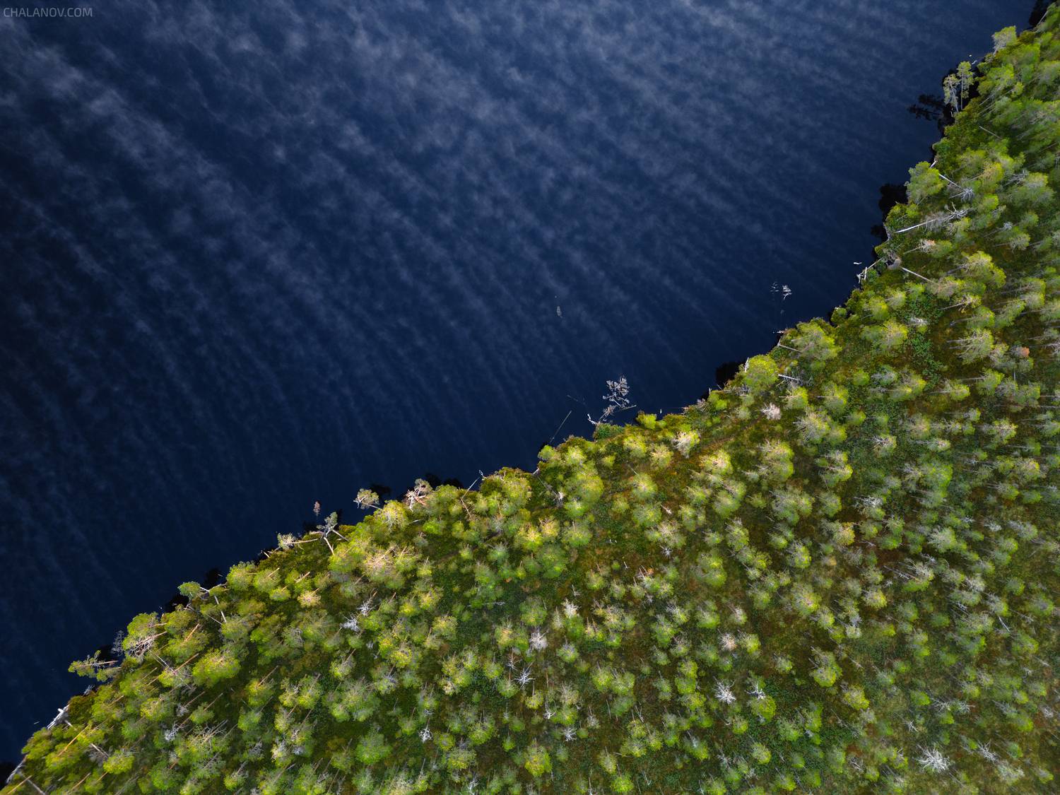 пейзаж, природа, дрон, туман, рассвет, озеро, болото, Иван Чаланов