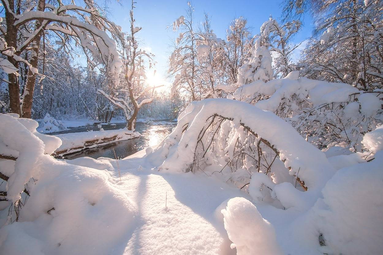 , Петр Косых