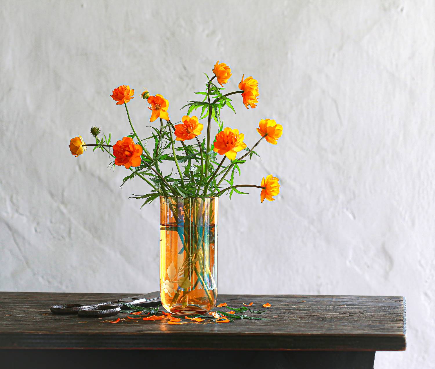 натюрморт, фотонатюрморт, still life, stillifefoto, лето, цветы, огоньки,  ретро_натюрморт, наталья_казанцева, Наталья Казанцева