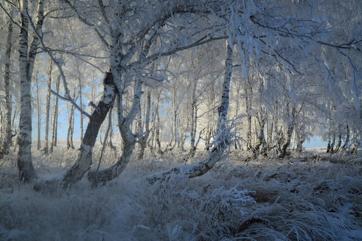 , Евгений Зинов