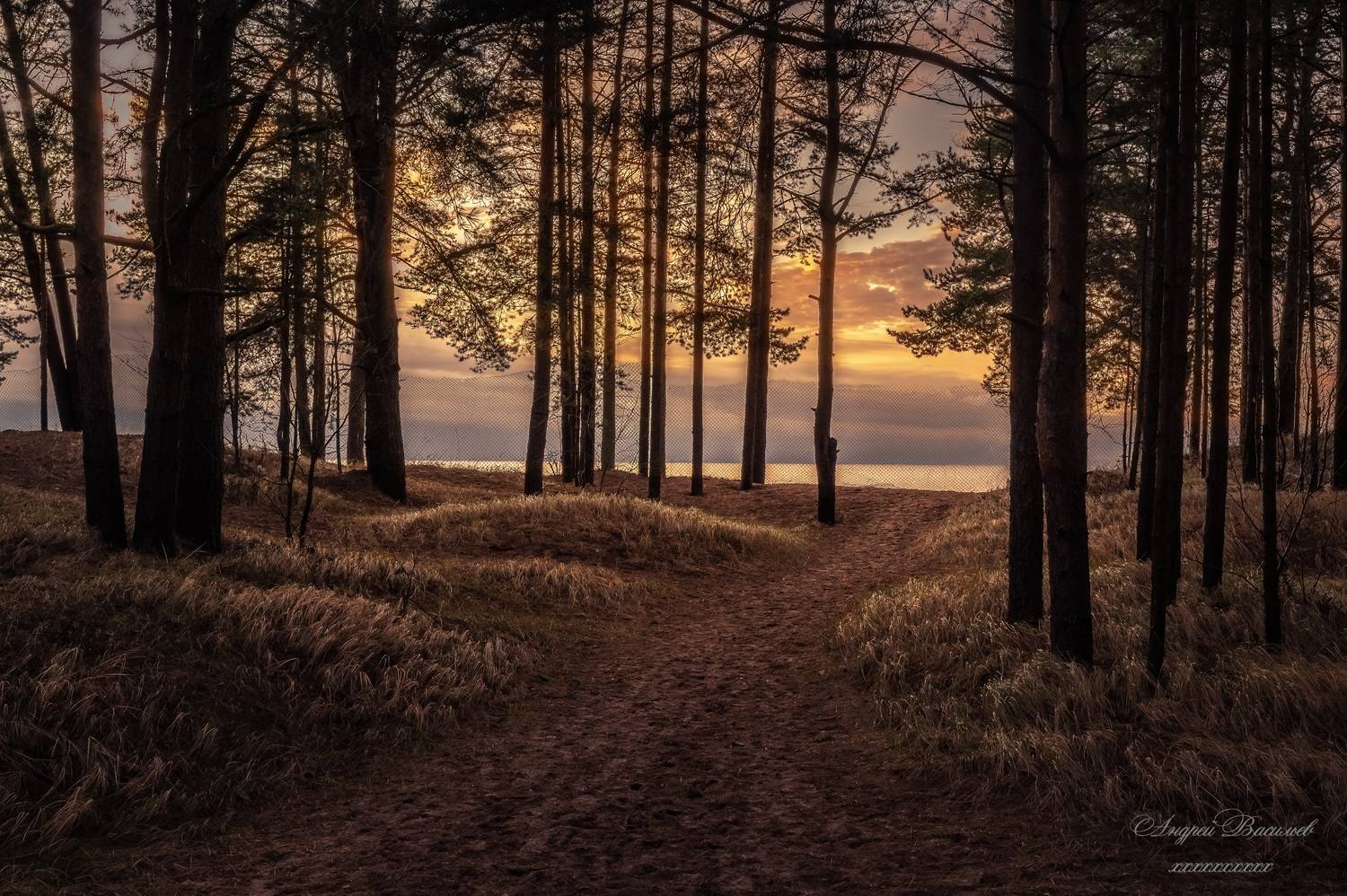 осень, осенний пейзаж, финский залив, окрестности сестрорецка, Васильев Андрей