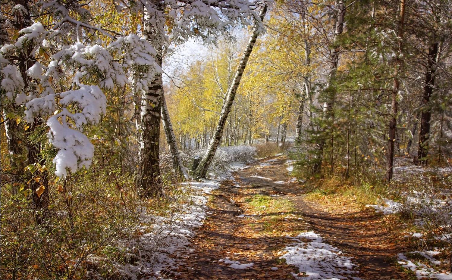 , Алексей Хахлов