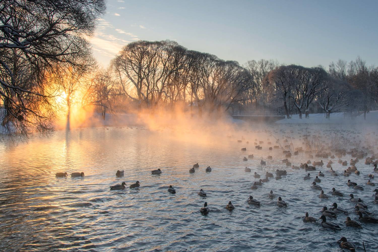 , Малыгин Андрей
