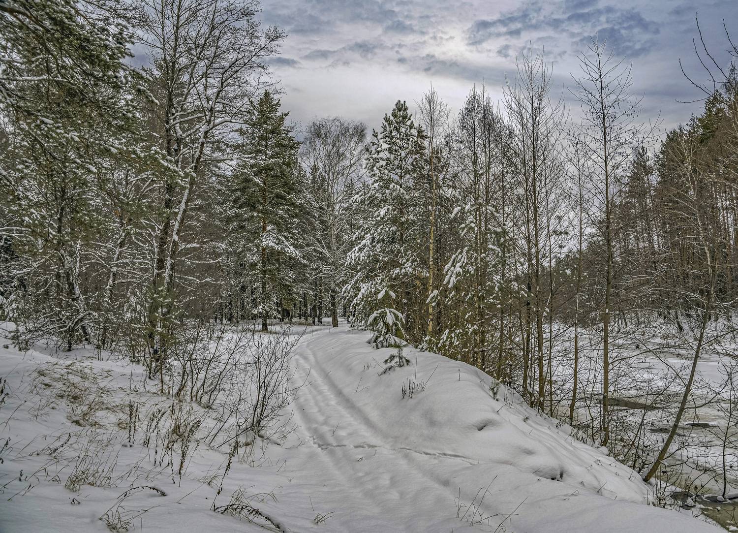 , Шитов Александр