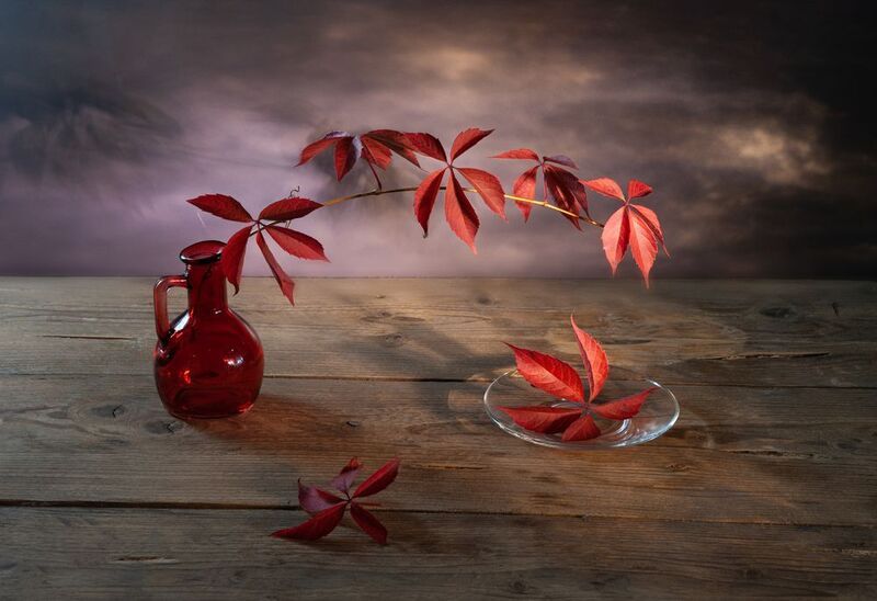 ***** фото превью