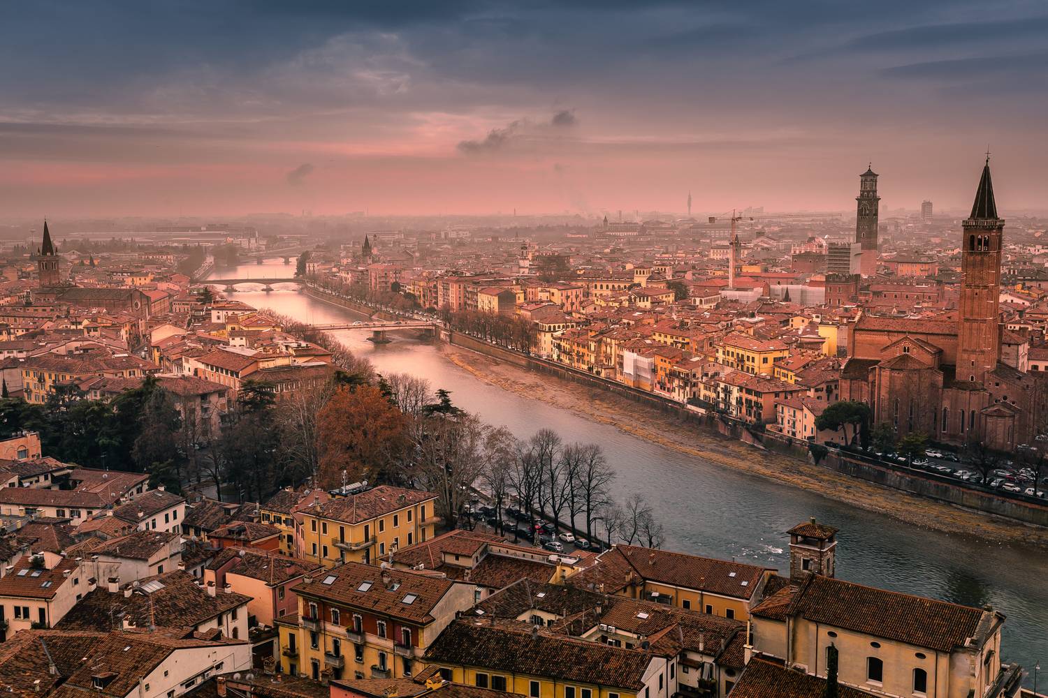 , Трепольский Дмитрий