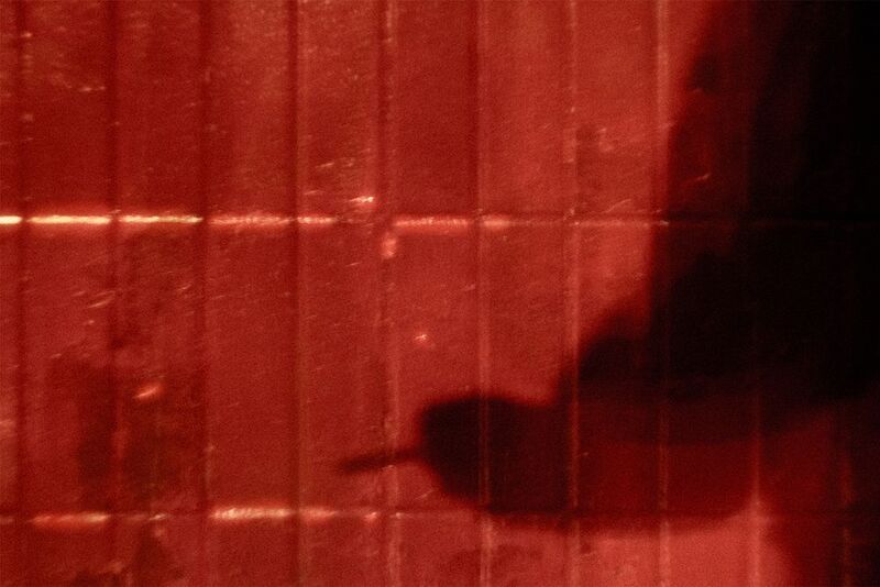 Moscow, Russia, December 2024 фото превью